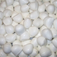Ovoline di Mozzarella di Bufala Campana DOP
