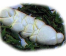 Treccione di Bufala Campana DOP